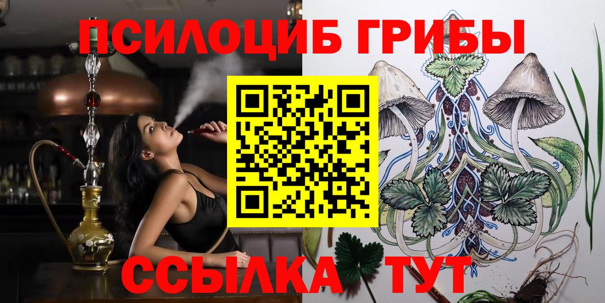 Псилоцибиновые грибы Psilocybe  Вход с VPN  Галлюциногенные грибы мухоморы  Лосино-Петровский 