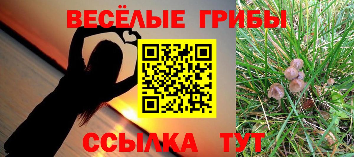 Галлюциногенные грибы Magic Shrooms Лосино-Петровский